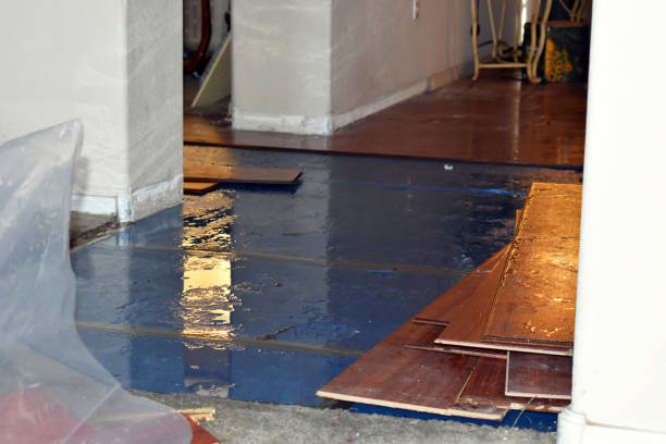 Professional Sewage Cleanup technician working in Central City, NE